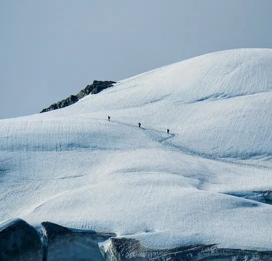 Striving hard for excellence large section image