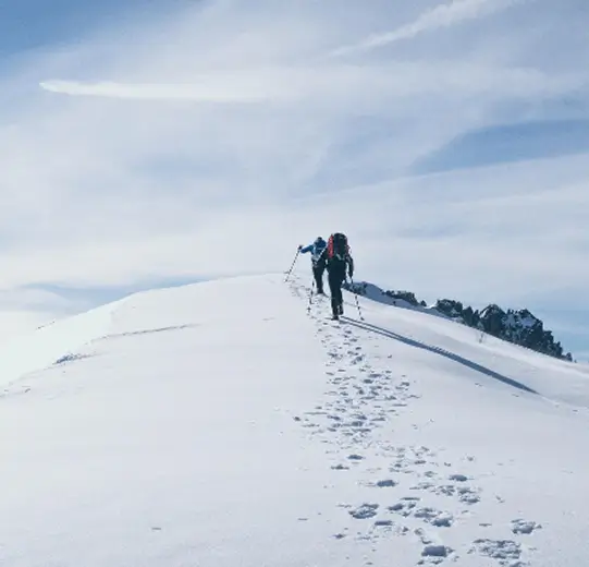 Striving hard for excellence large section image