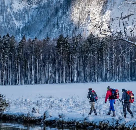 Striving hard for excellence large section image