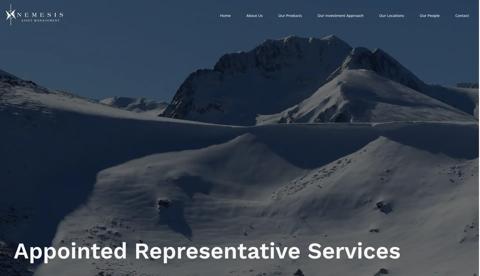 Appointed Representative Services | Nemesis Asset Management